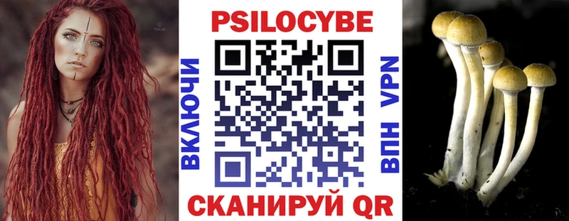 Галлюциногенные грибы прущие грибы  kraken зеркало  Новомосковск 